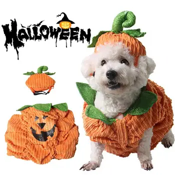 Мек удобен костюм за домашен любимец, костюм за домашни любимци с дупка за уши, очарователен костюми за домашни любимци на Хелоуин, забавно е удобна рокля за малки кучета